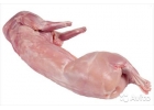 продам мясо кроликов